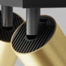 Потолочный светильник MAYTONI FOCUS S C051CL-U-02BMG
