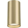 Потолочный светильник MAYTONI FOCUS S C052CL-01MG