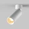 Потолочный светильник MAYTONI FOCUS ZOOM C055CL-L12W2.7K-Z-W