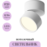 Потолочный светильник MAYTONI ONDA C024CL-12W4K-W-1