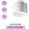 Потолочный светильник MAYTONI PLANET C009CW-L12W4K
