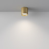 Потолочный светильник MAYTONI POLAR C088CL-GX53-MG