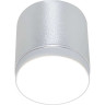 Потолочный светильник MAYTONI POLAR C088CL-GX53-S