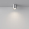 Потолочный светильник MAYTONI POLAR C088CL-GX53-S