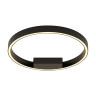Потолочный светильник MAYTONI RIM MOD058CL-L25B3K