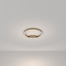 Потолочный светильник MAYTONI RIM MOD058CL-L35BSK