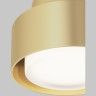 Потолочный светильник MAYTONI SPACE C092CL-GX53-MG