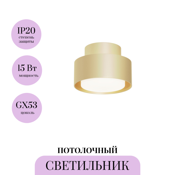Потолочный светильник MAYTONI SPACE C092CL-GX53-MG