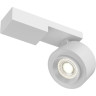 Потолочный светильник MAYTONI TREO C062CL-L12W4K