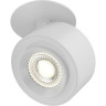 Потолочный светильник MAYTONI TREO C063CL-L12W4K