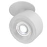 Потолочный светильник MAYTONI TREO C063CL-L12W4K
