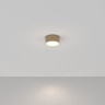 Потолочный светильник MAYTONI ZON C032CL-12W4K-RD-MG