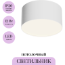 Потолочный светильник MAYTONI ZON C032CL-12W4K-RD-W