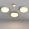 Потолочный светильник MAYTONI ZON C032CL-45W2.7K-RD-W
