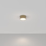 Потолочный светильник MAYTONI ZON C032CL-L12MG4K