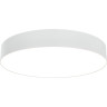 Потолочный светильник MAYTONI ZON C032CL-L48W3K