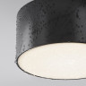 Потолочный светильник MAYTONI ZON IP O430CL-L15B4K