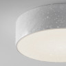 Потолочный светильник MAYTONI ZON IP O431CL-L30W4K