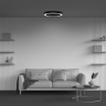 Потолочный светильники MAYTONI LUA C093CL-45W4K-B