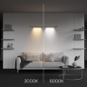 Светильник MAYTONI POINTS C101CL-L500-12W3-6K-BS для штанговой системы освещения Axity