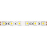 Светодиодная лента MAYTONI 24В 5050 14,4Вт/м RGB 5м IP20 10174