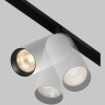 Трековый светильник MAYTONI ARTISAN TR097-2-12W3K-M-BW
