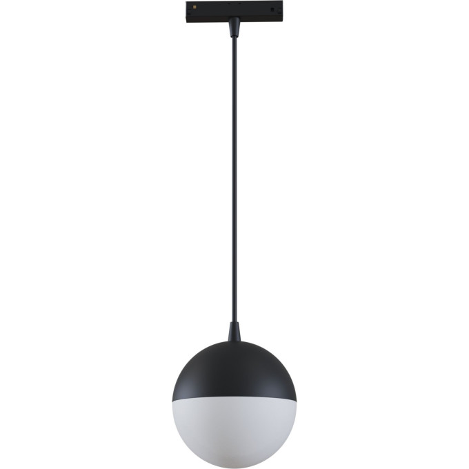 Трековый светильник MAYTONI TR018-2-10W3K-B черный