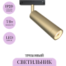 Трековый светильник MAYTONI FOCUS LED TR019-2-7W4K-MG