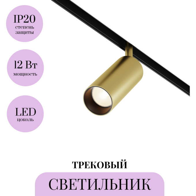 Трековый светильник MAYTONI FOCUS LED TR032-2-12W3K-S-MG