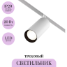 Трековый светильник MAYTONI FOCUS LED TR032-2-20W4K-S-W