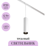 Трековый светильник MAYTONI FOCUS LED TR041-2-12W4K-W
