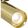 Трековый светильник MAYTONI FOCUS TR004-1-GU10-G