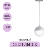 Трековый светитель MAYTONI KIAT TR018-2-10W4K-W