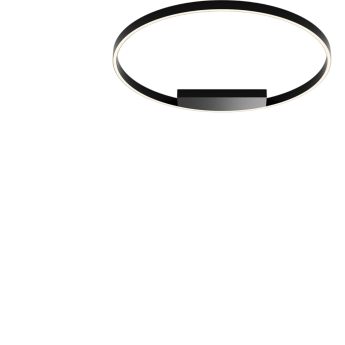 Потолочный светильник MAYTONI RIM MOD058CL-L50BK