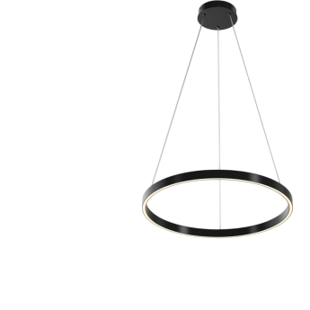 Подвесной светильник MAYTONI RIM MOD058PL-L32BK
