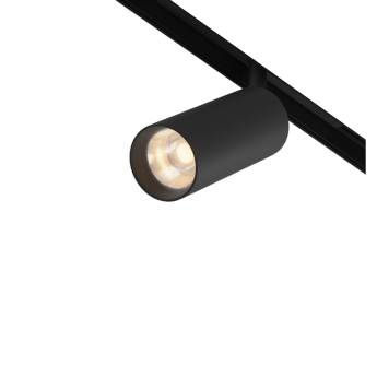 Трековый светильник MAYTONI ARTISAN TR097-2-12W3K-M-BB