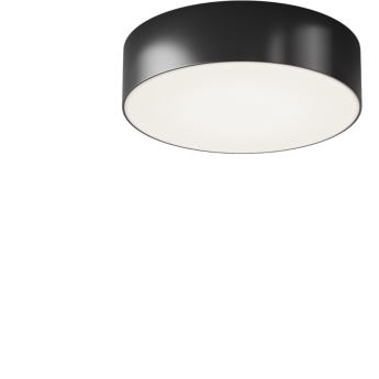 Потолочный светильник MAYTONI ZON IP O431CL-L30B3K