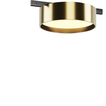 Трековый светильник MAYTONI ZON LEVITY TR189-1-12W3K-BBS